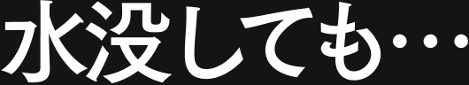 水没しても…